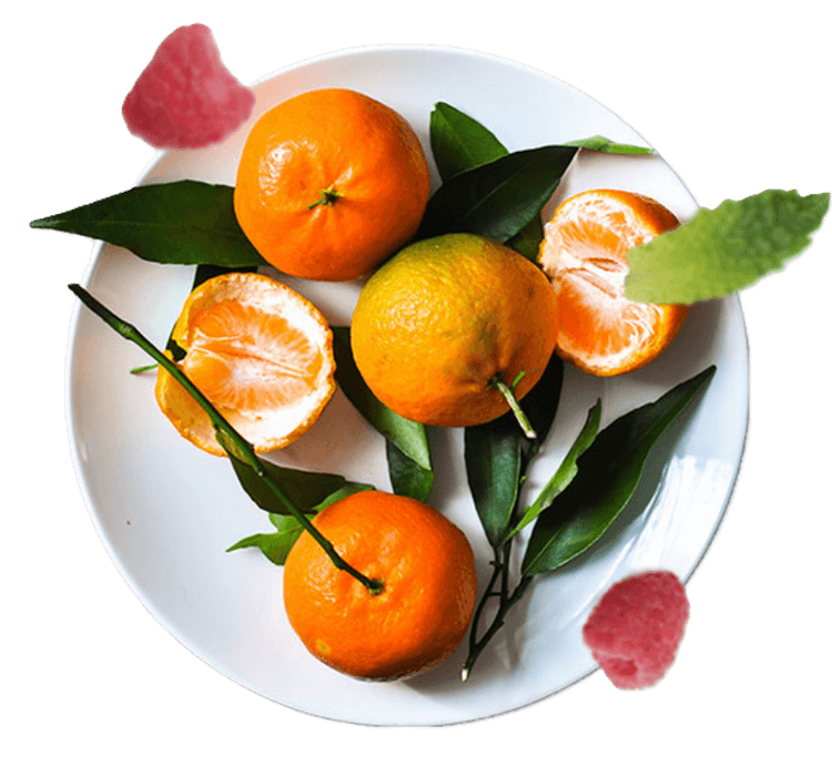 Fruit Plate