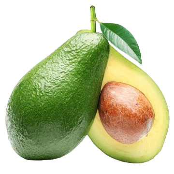 Fresh Avocado