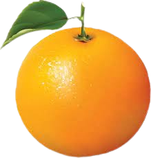 Fresh Oranges